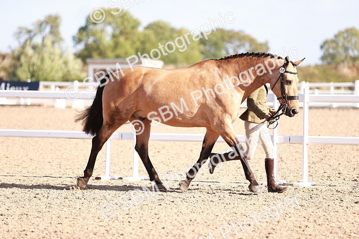 SBM_22059 - Class 703 - IH Coloured