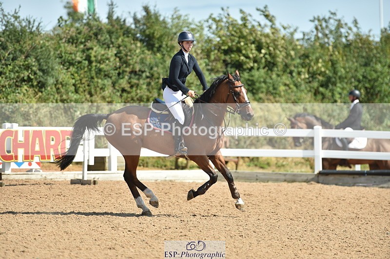 230723A-155812-13233 - Cls 16, 1 Star Bronze 1.15m