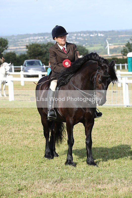 1X9A6017 - Class 42: NPS Dales, Fell, Highland