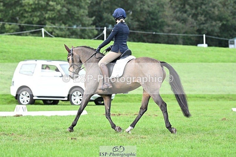 231020-161312-11633 - 558-BATHLEYHILLS.GOLDEN.SPRAY-Cleo.Whitbread-DR