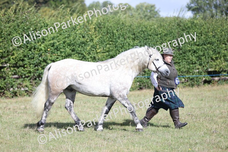 20250831-1574 - Class 21 - Inhand Open