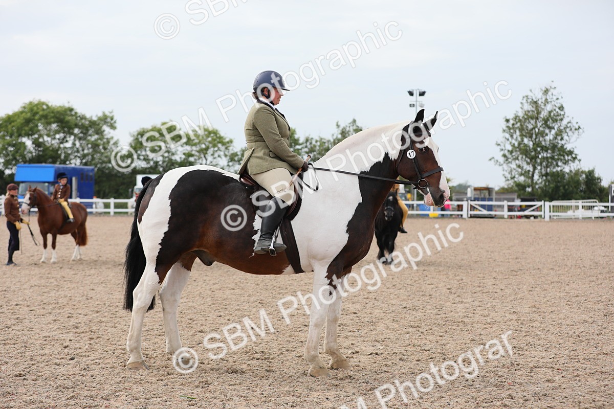SBM_16945 - Class 314 Family Horse/Pony
