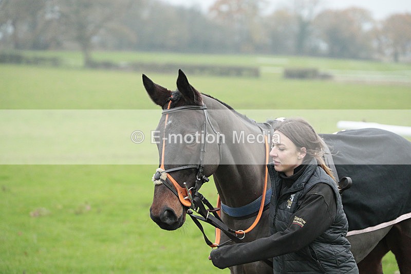 PtP 041222 0146 - Wheatland  Hunt PtP Chaddesley Corbett, Worcs 04/12/22