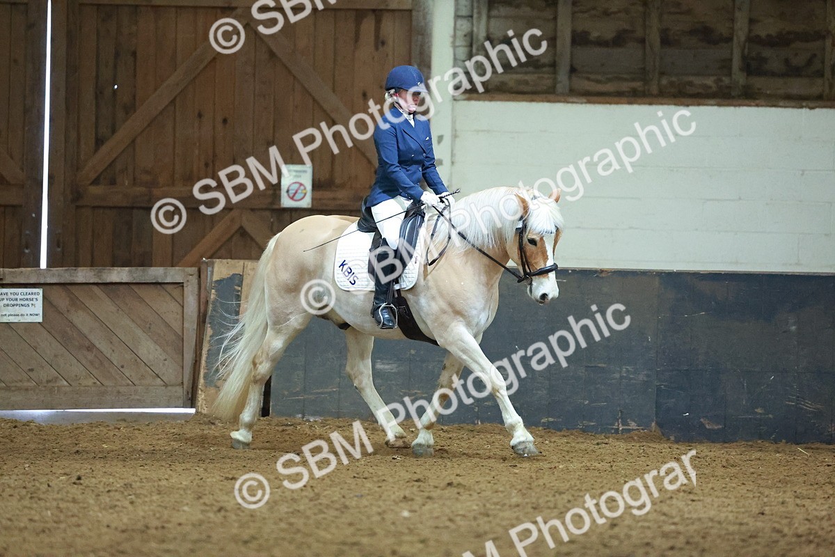 SBM_003911 - Novice 2