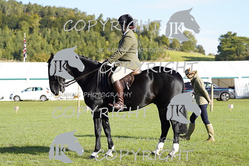 _DSC9438 - Class 8 & 17 Ridden Hunter & Ridden Hunter Pony