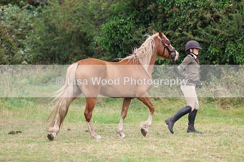 3E7A4527 - Class 16: Best Grass Kept