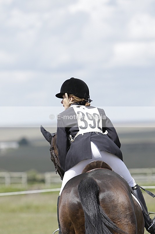 BVHT 140517 N-392 - Class 2 SJ Novice 14/05/17
