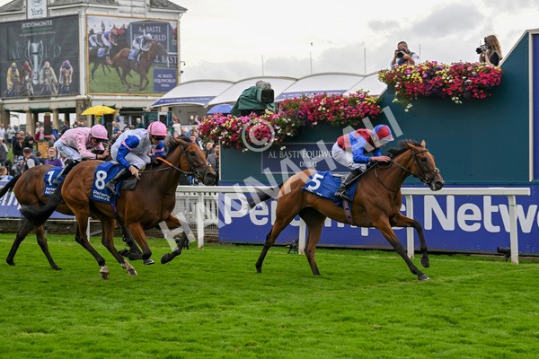 220824-Race 4-Content-7410 - Race 4 3.35pm Pertemps Network Yorkshire Oaks