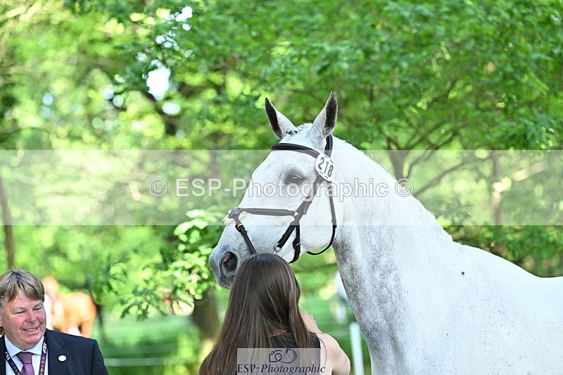 250521A-162318-01103 - C-218-Zoe.Davies-SHUTTERFLY.BLUE