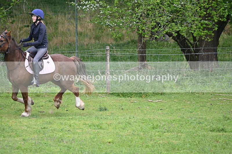 WJ6_3385 - A camera