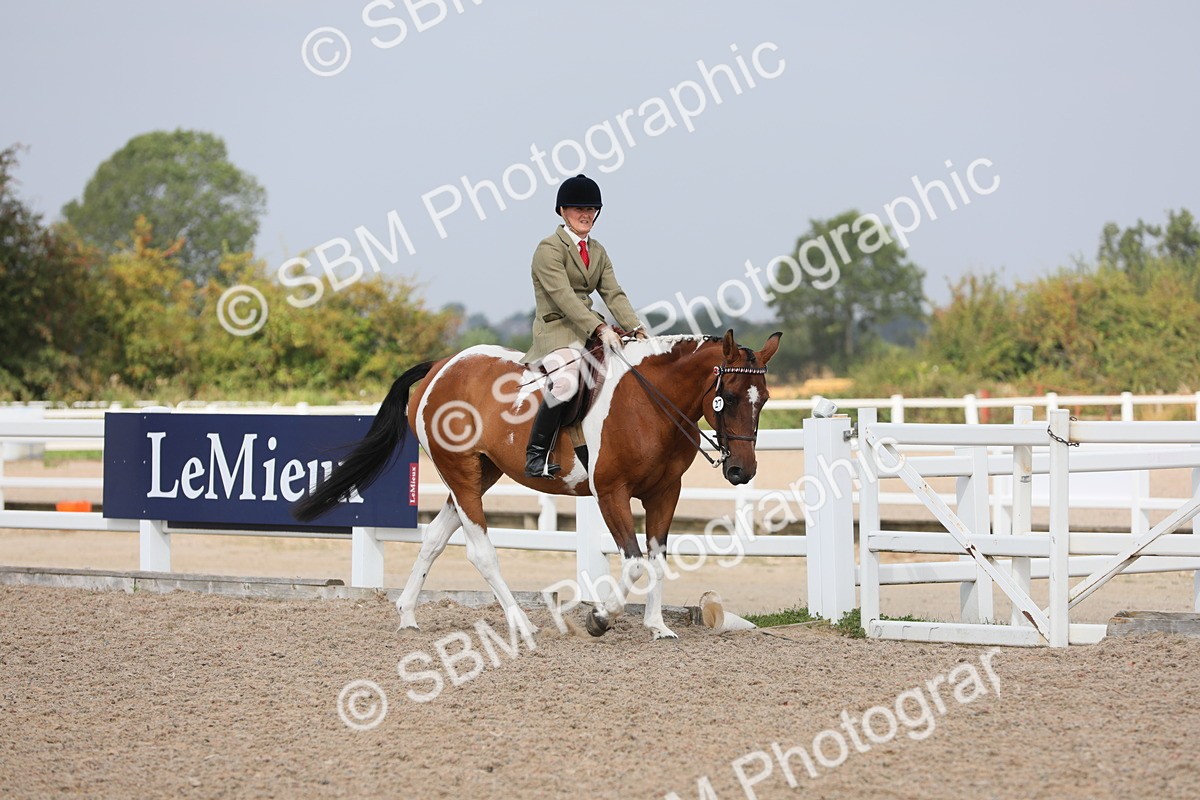 SBM_13327 - Class 308 Ridden Coloured Horse