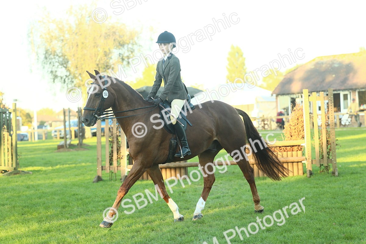 SBM_56450 - S14 - Riding Club Horse