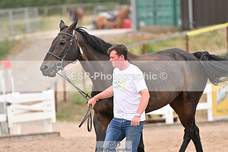 250716-160958-02479 - Trot Up 3.30 to 4.30