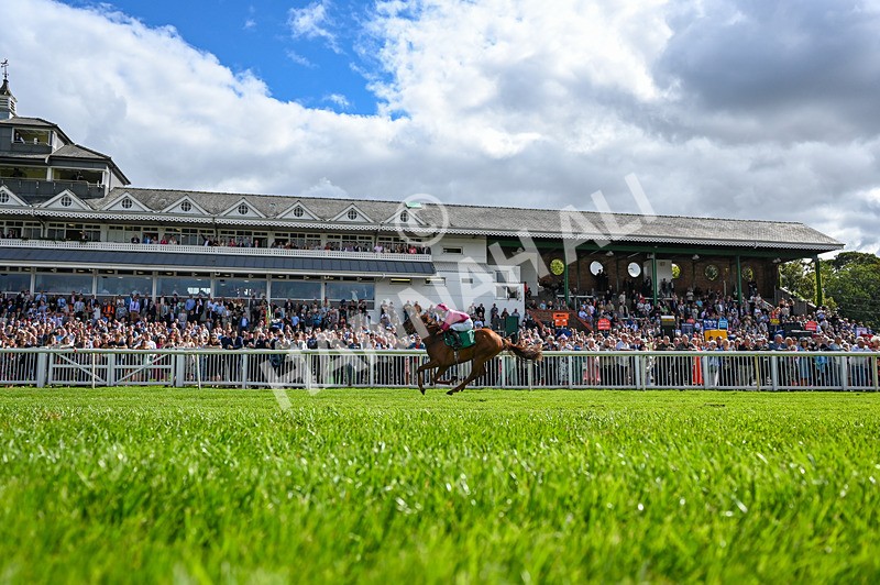 050926-Race 3-Dontlookanyfurther-6315 - Race 3 2.40pm British Stallion Studs EBF Restricted Novice Stakes
