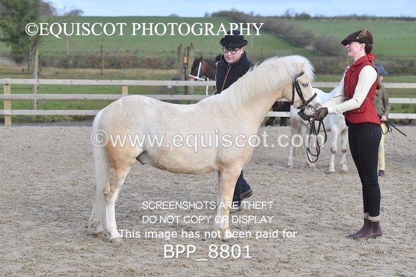 BPP_8801 - RING 2 - M&M