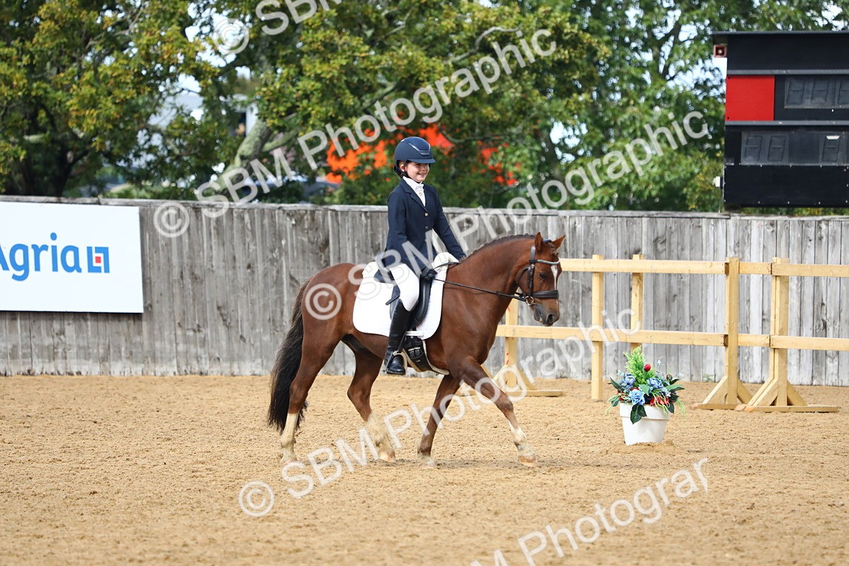 SBM_42664 - D21 - Junior Championship Intro 1