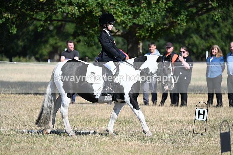 WJ7_9400 - Time 10:08 to 10:13