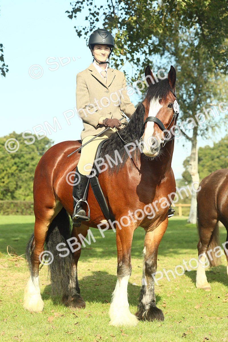 SBM_60014 - S38 - Starters Ridden Showing