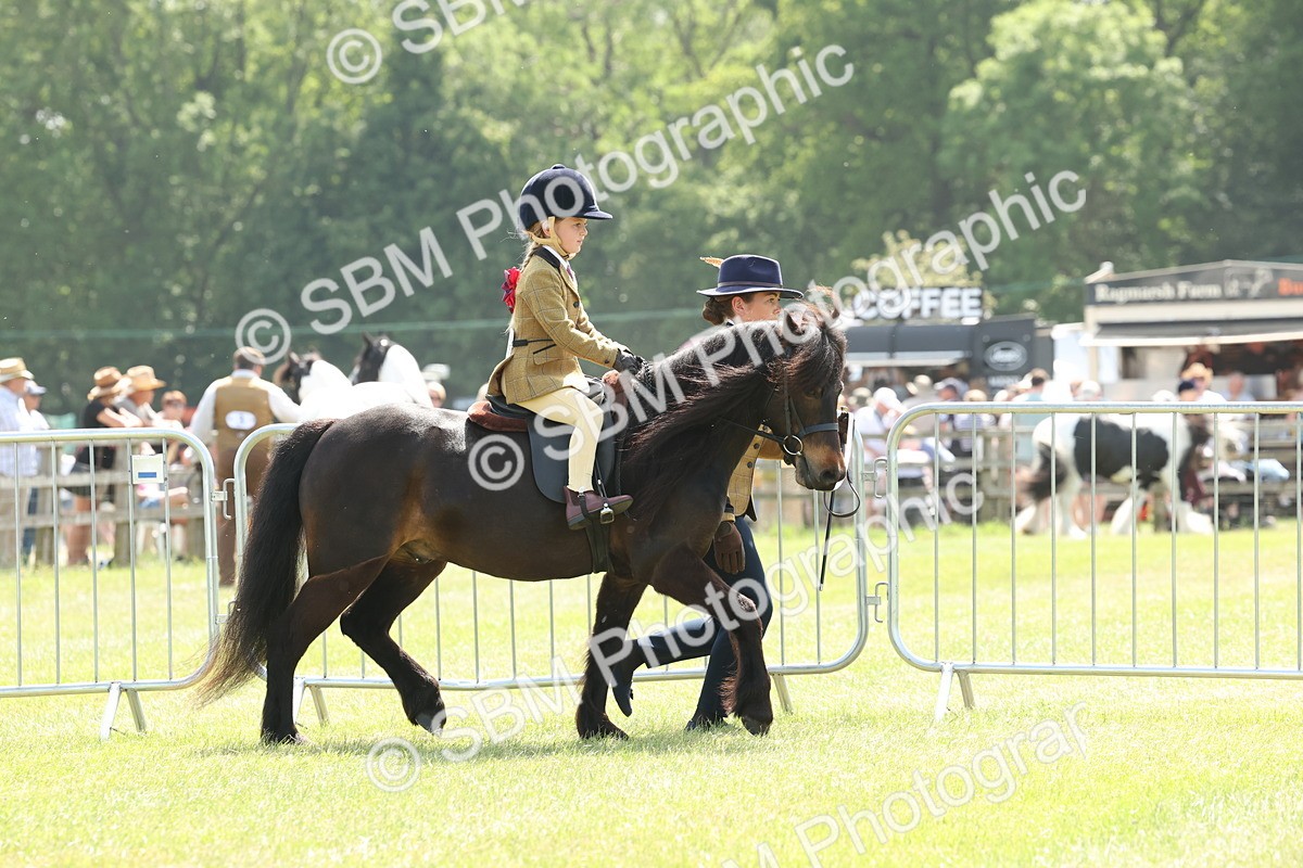 SBM_05166 - Class 24-25 - Mountain & Moorland In Hand Lead Rein and First Ridden