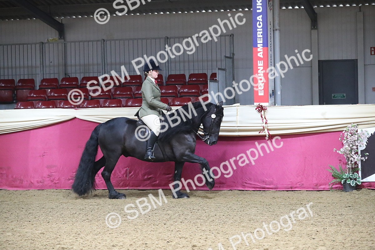 SBM_10362 - Class 102 Equitation (best rider) Adult