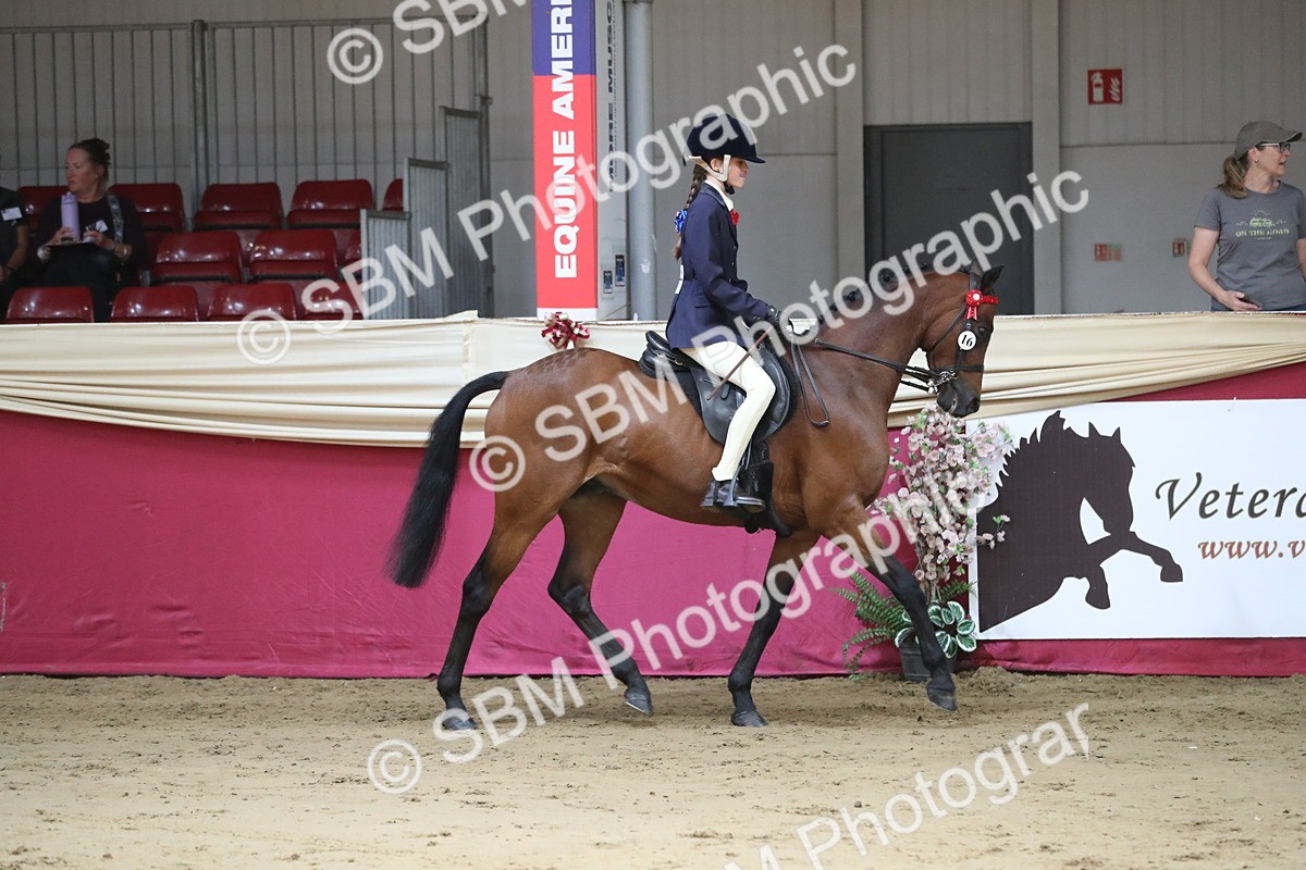 SBM_02847 - Class 6a Area Ridden Pre Vet