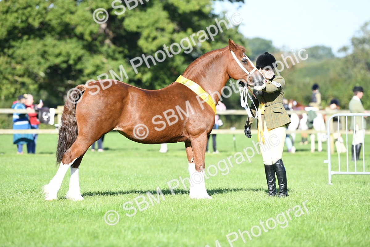 SBM_35562 - Top Turnout Supreme Championship