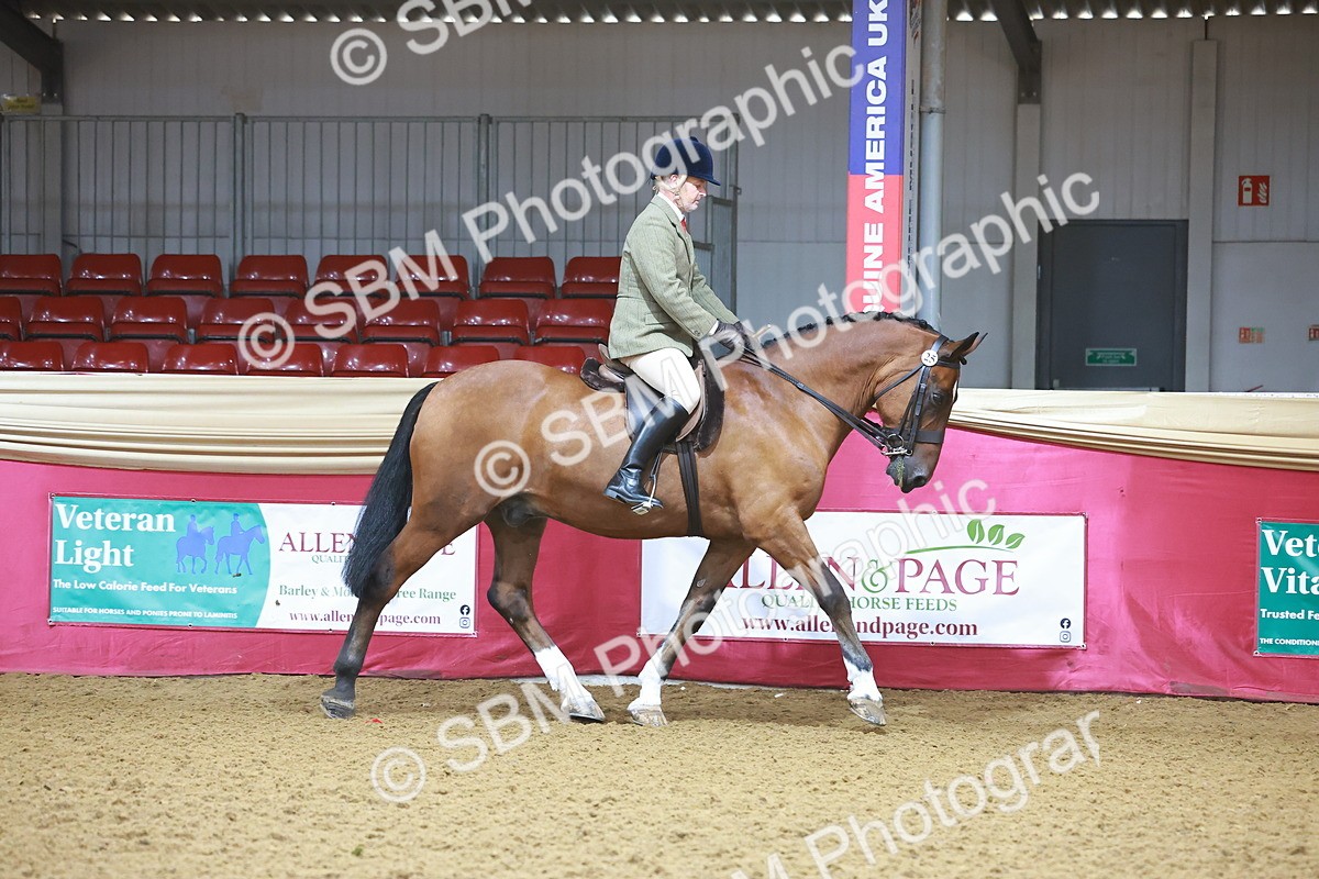 SBM_07593 - Class 101 - HOYS Veteran Qualifier - Ridden Diamond