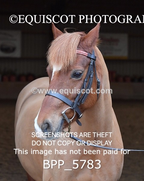 BPP_5783 - Sarah Page