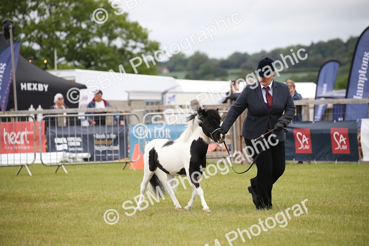 SBM_03754 - Class 23-25 - British Miniature Horse of the Year
