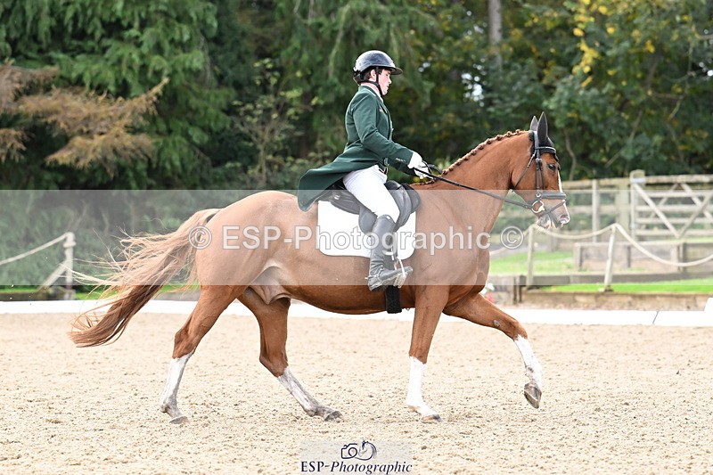 251023A-113056-01758 - B-138-Patrick.Whelan