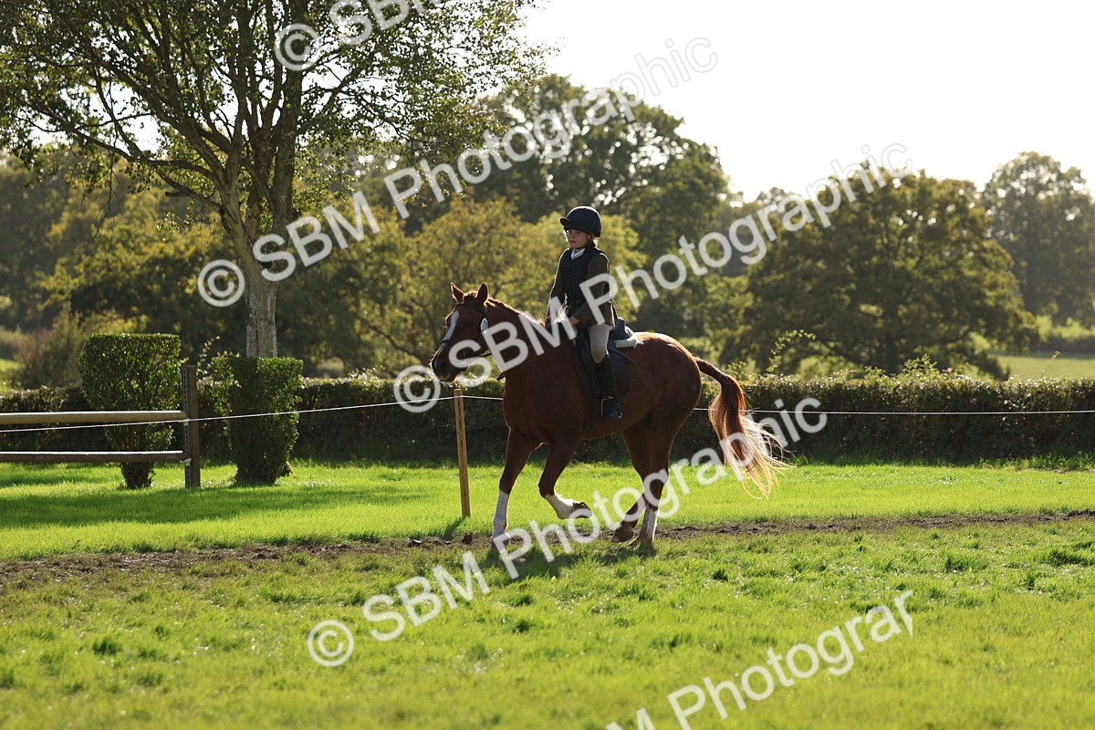 SBM_52452 - S13 - Pony Club Pony