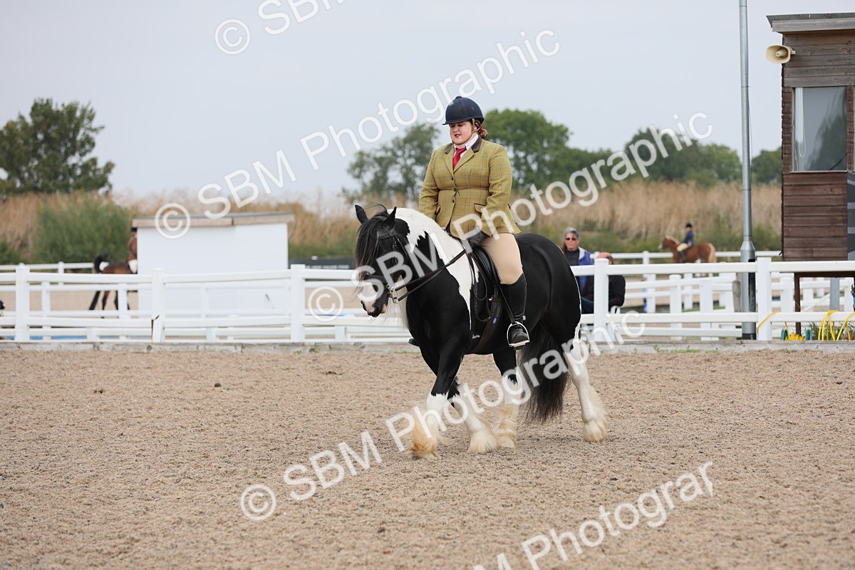 SBM_12752 - Class 307 Ridden Coloured Pony