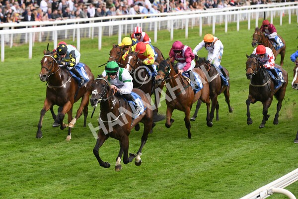 yr22052022r4-17 - Race 4: 5:05pm Sky Bet Sunday Mile
