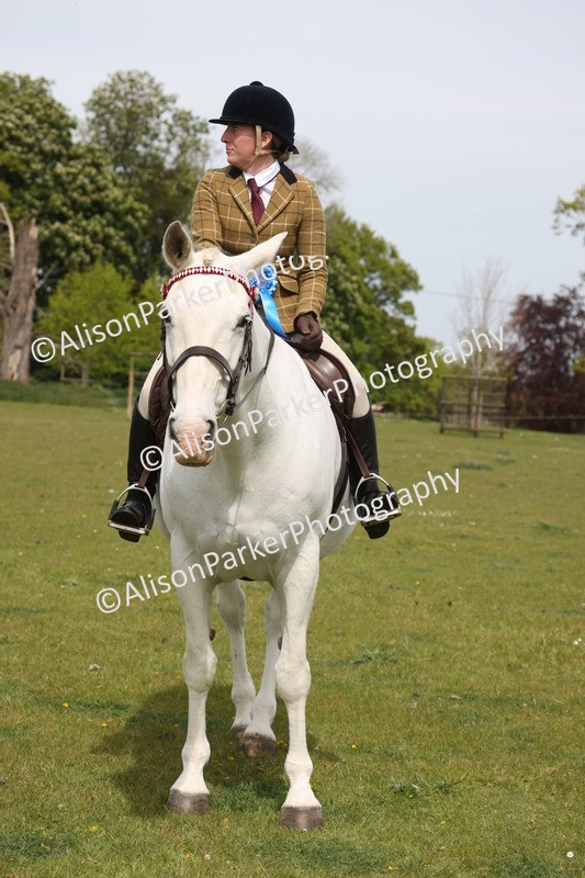 20260426-4429 - Class 34 - Best Riding Horse Over 14.2hh