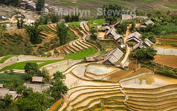 Northern Hills of Viet Nam - Exhibition acceptances
