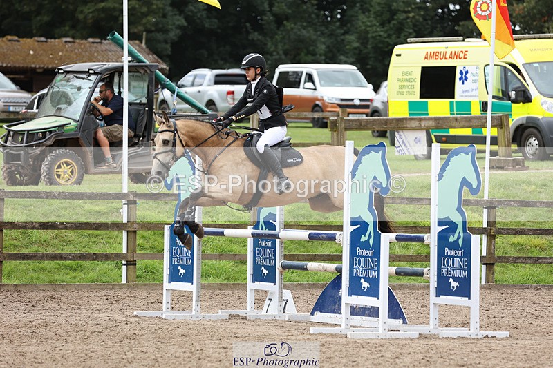 240804-125958-13547 - 521-Lily_Howell-WOODFIELD_GOLD