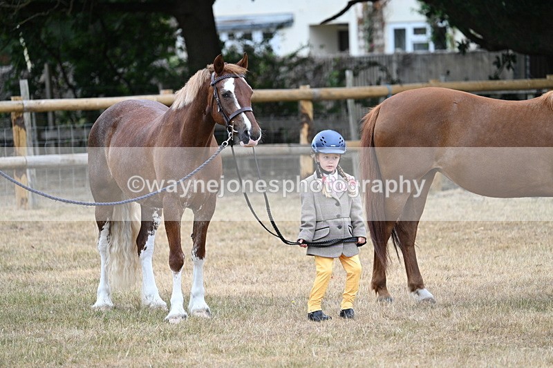 WJ7_8524 - Class 4 Prettiest Mare up to 14.2hh