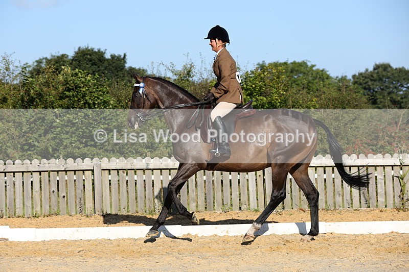 1X9A7586 - Class 7: Novice Ridden Hunter/Hack/Cob/Riding Horse