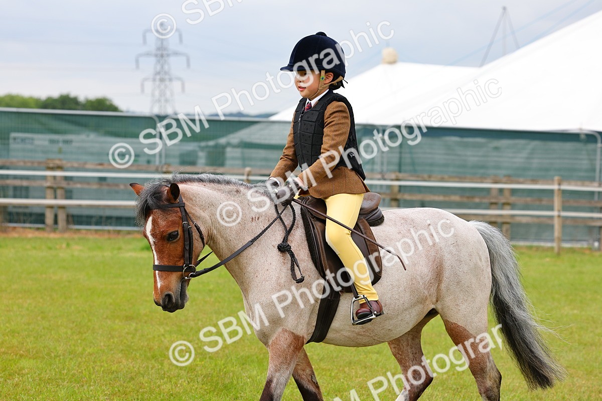 SBM_08589 - Class 42-43 - LIHS BSPS Heritage Working Sports Pony