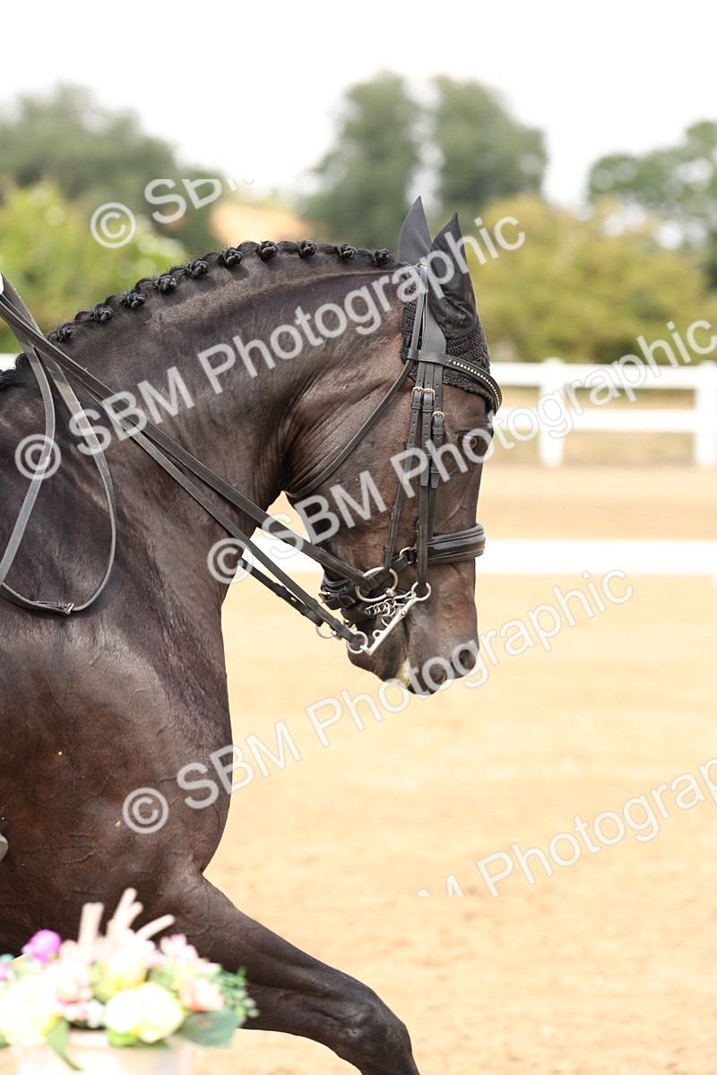SBM_001954