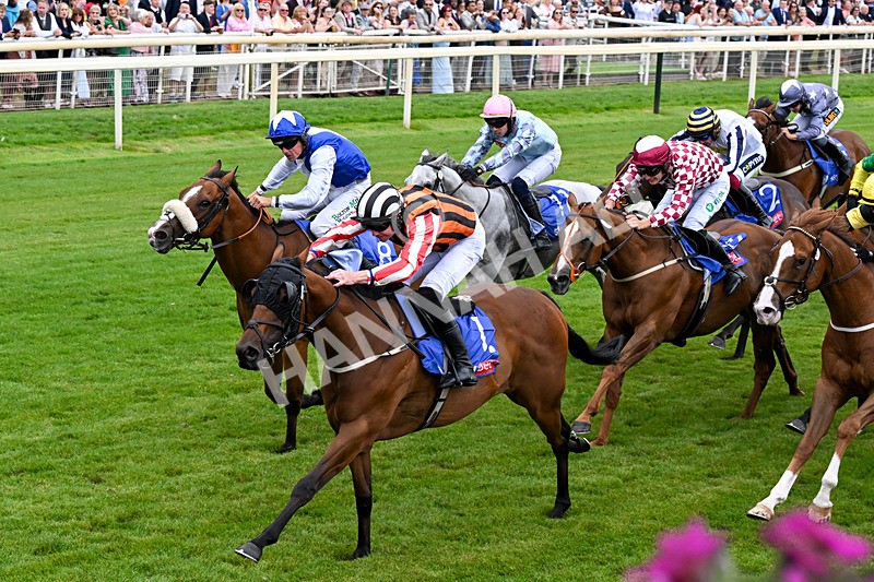250726-Race 1-Kodiac Thriller-0550 - Race 1 13.30pm Sky Bet 'Jump Jockeys' Nunthorpe' Handicap