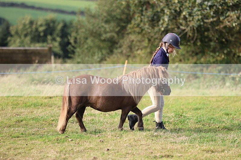 3E7A3128 - Class 12: M & M Small Breeds