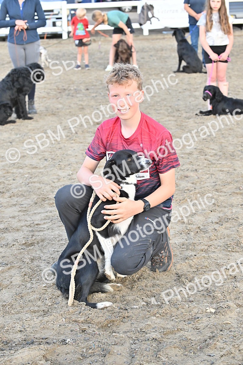 SBM_09632 - Lorry Dogs