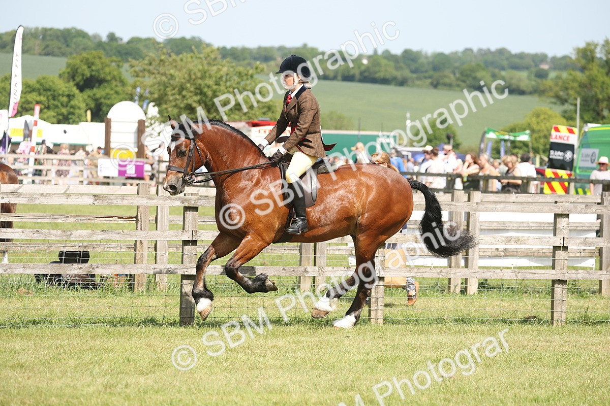 SBM_07702 - Class 26-30 - Mountain and Moorland Ridden