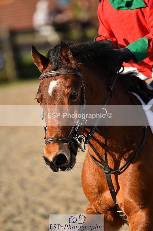 231210-132538-00699 - Cls 4 60cm