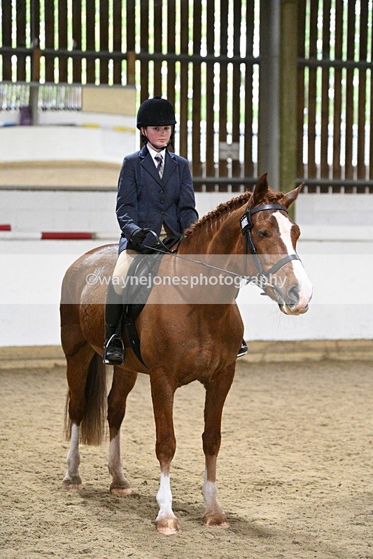 WJ7_3912 - Class 17 Ridden Cob