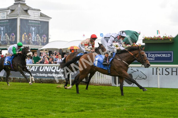 yr10062022r6-20 - Race 6 4.40pm No 1 York by GuestHouse Hotels British EBF Novice Fillies Stakes