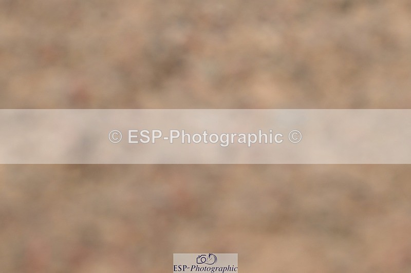 250621-161624-12065 - Cls 33 - Medium 6