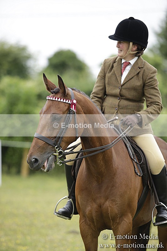 BVR160717-1046 - Ring 1 BVRC Show 16/07/17