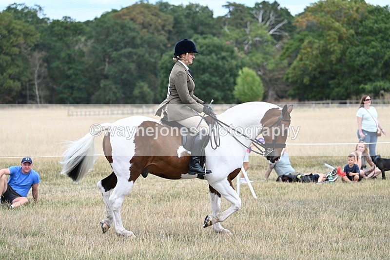 WJ7_4863 - Class 12 Ridden Cob